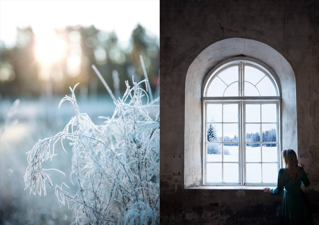 The Art of Fun Dining - Cookbook - LUXONAS