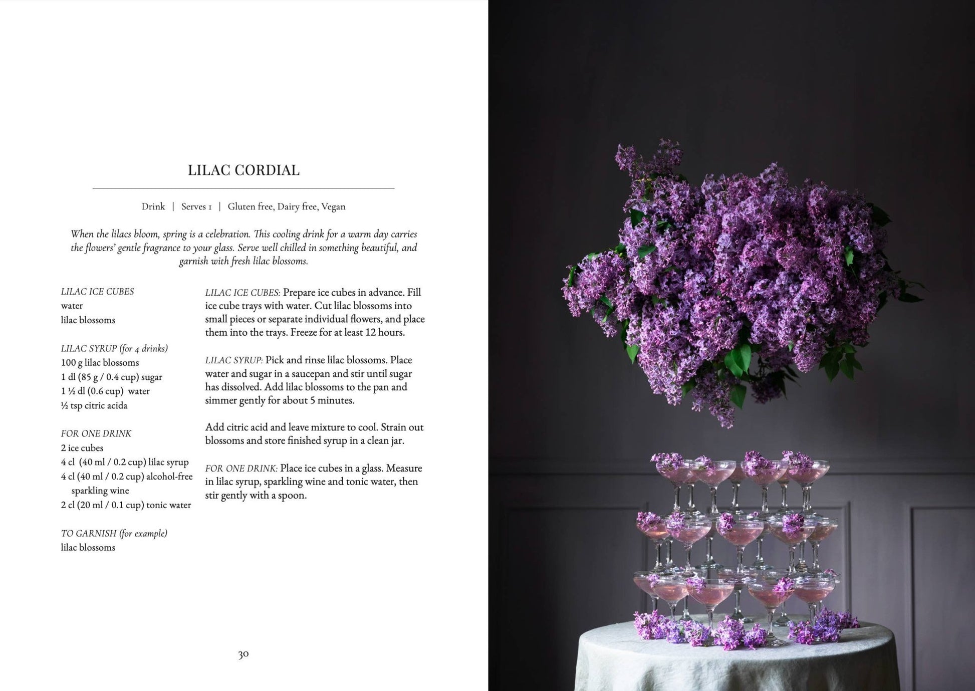 The Art of Fun Dining - Cookbook - LUXONAS