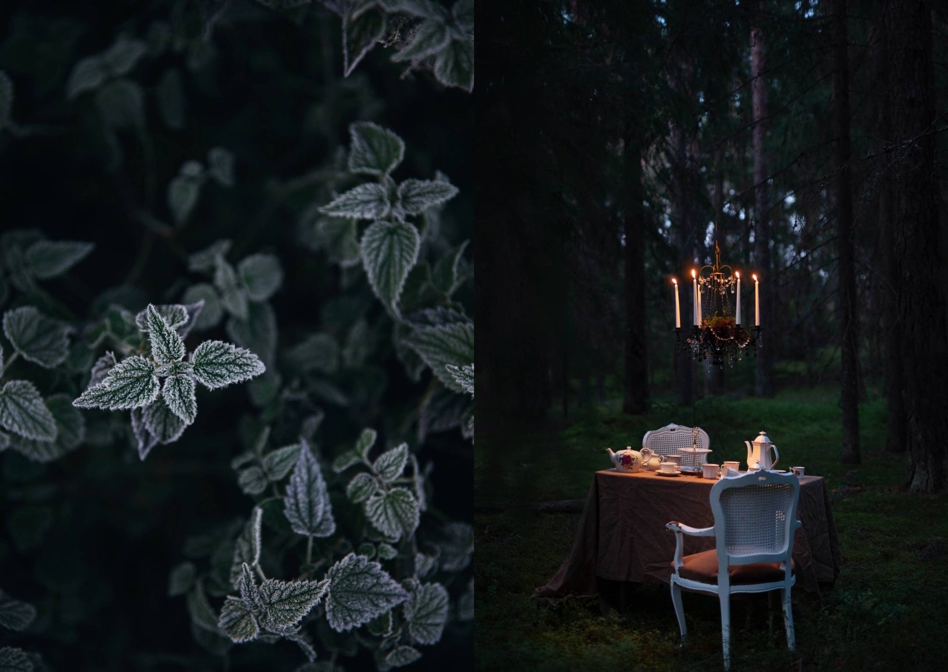 The Art of Fun Dining - Cookbook - LUXONAS