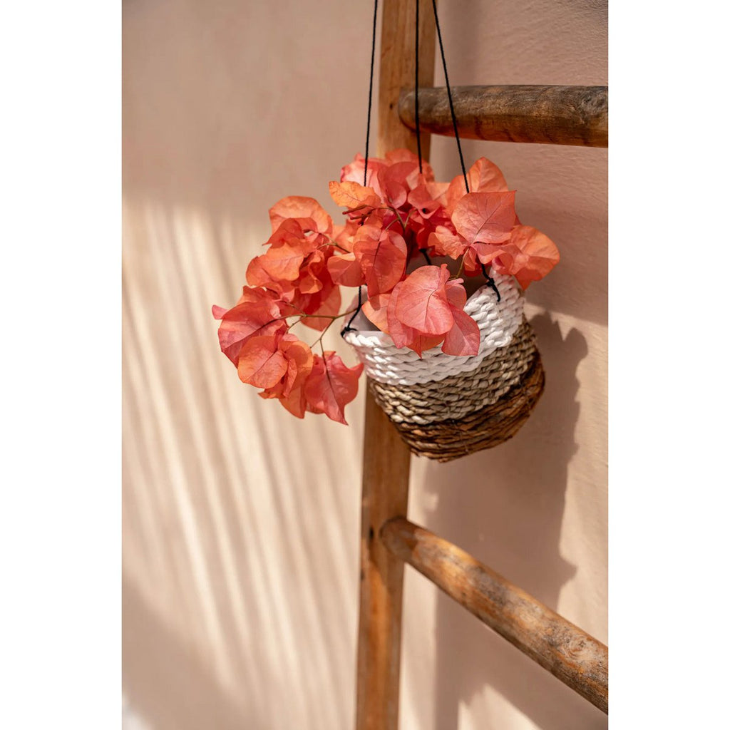 The Banana Plant Hanger - Natural White - S - LUXONAS HOME