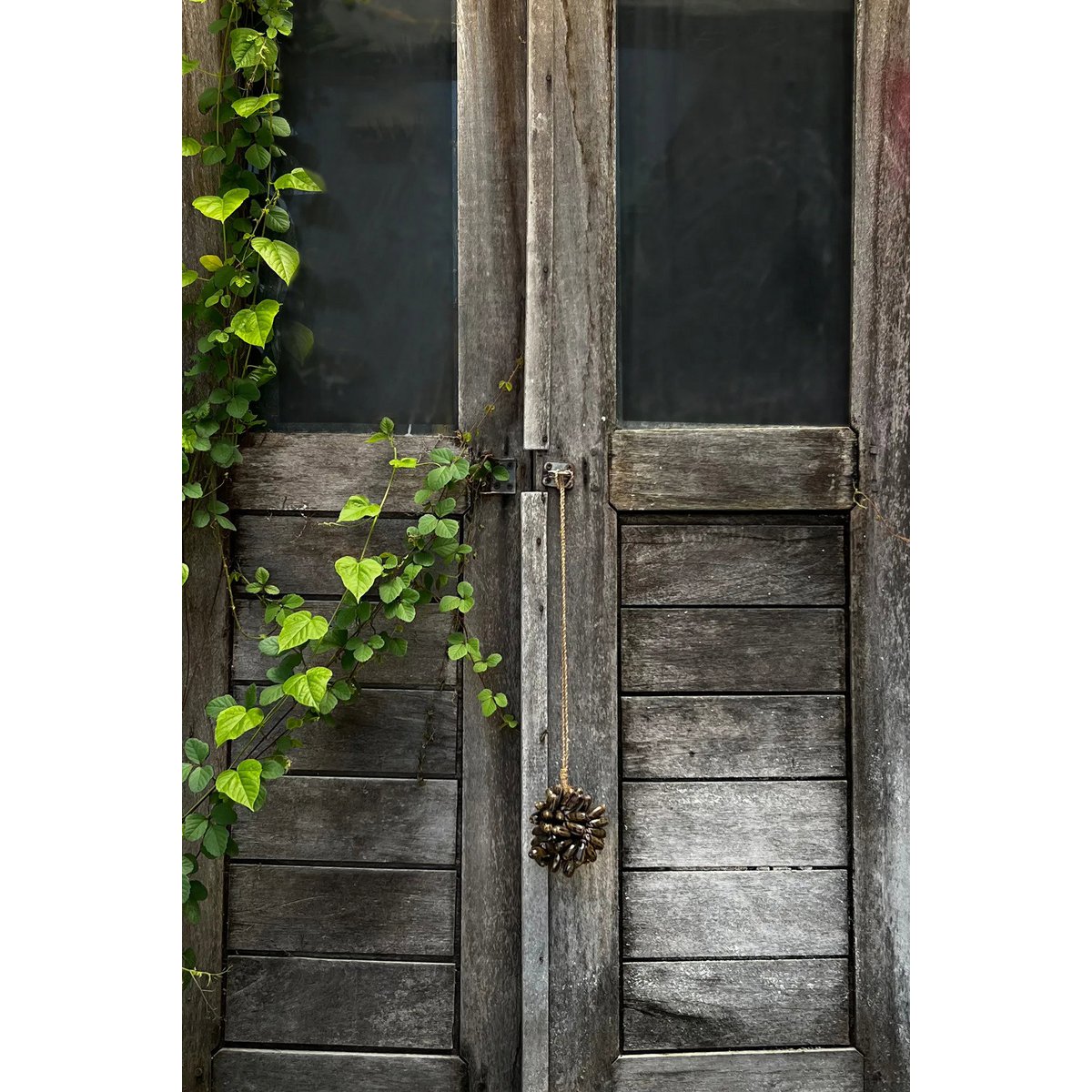 The Brown Cowrie Shell Tassel - LUXONAS HOME