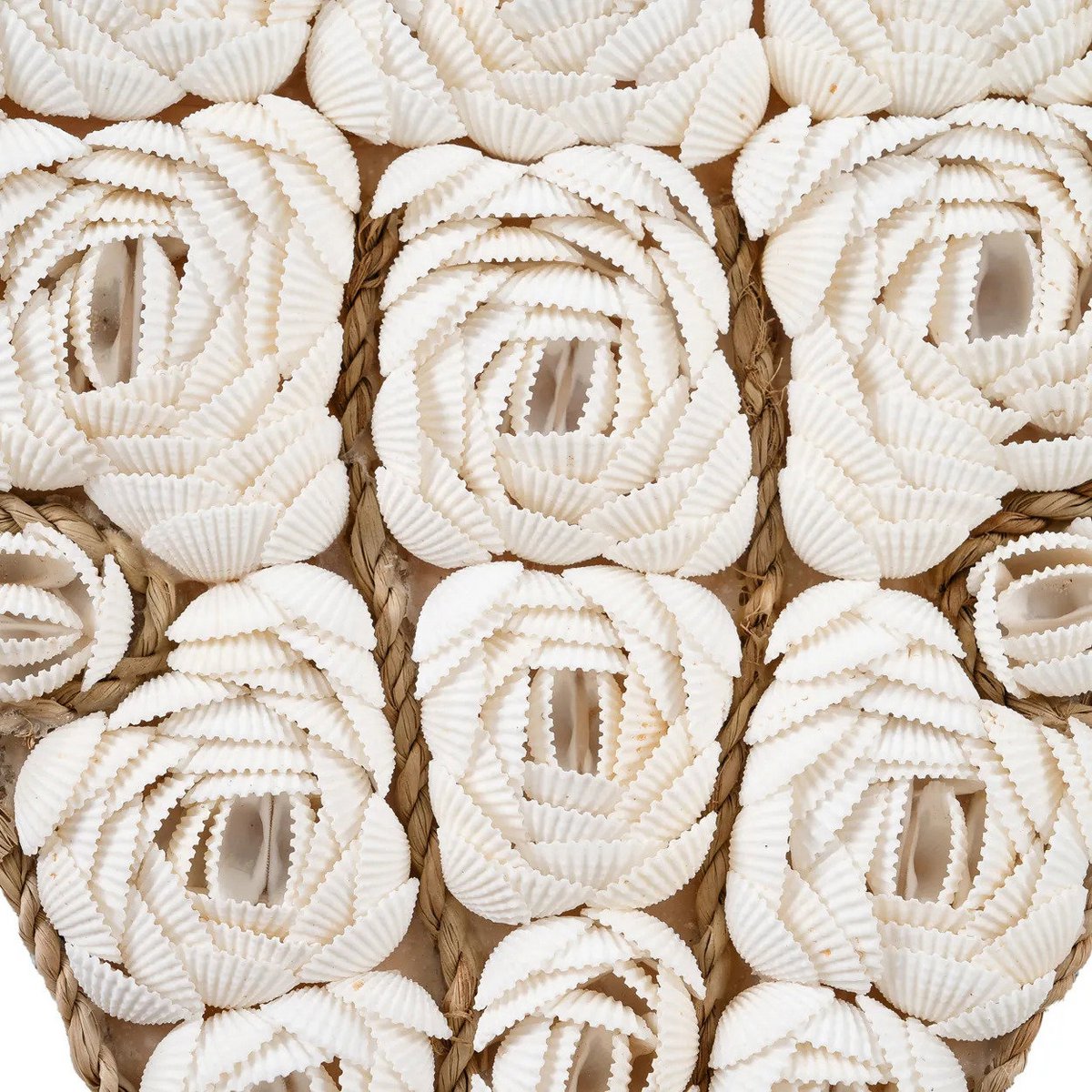 The Bull Shell - White - LUXONAS HOME