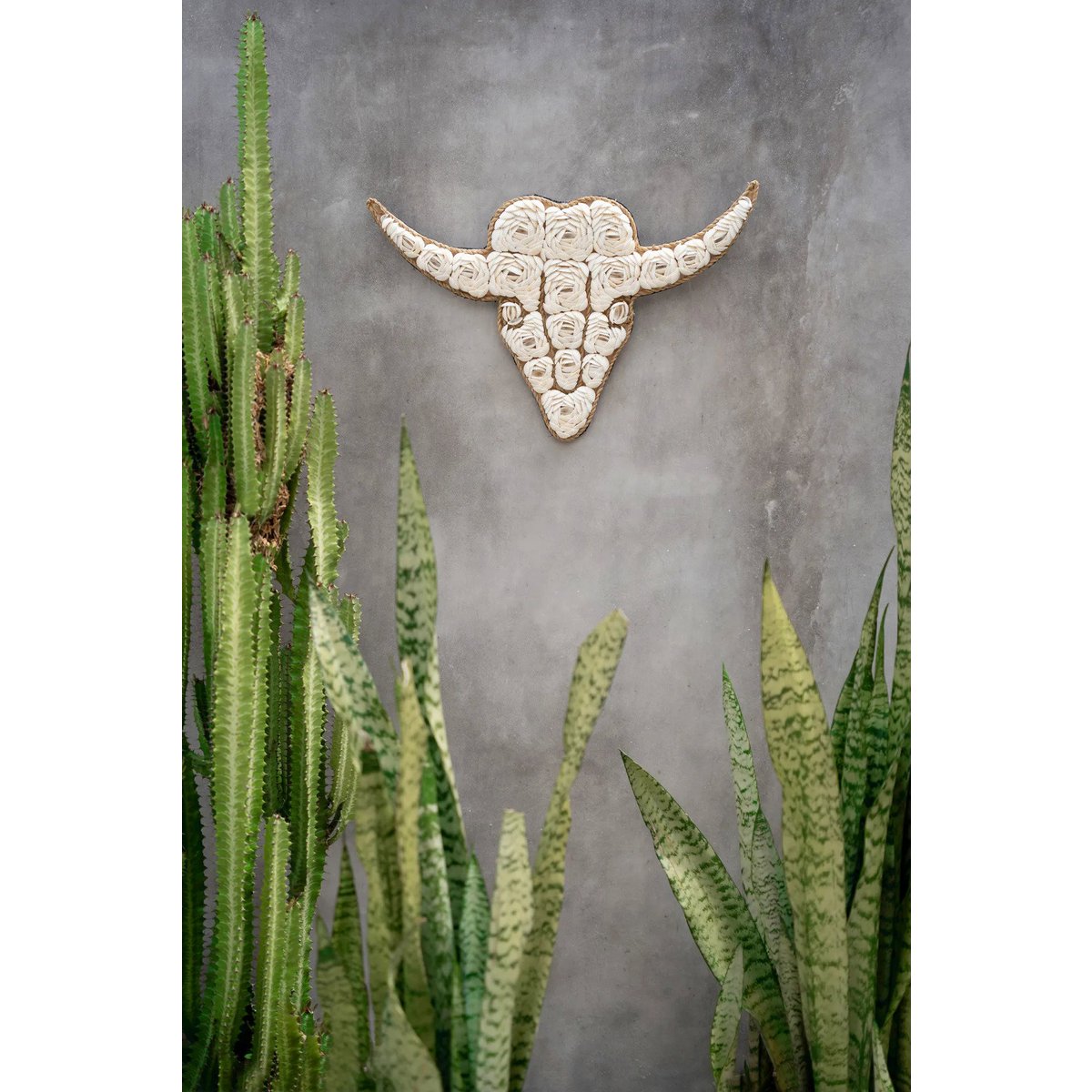 The Bull Shell - White - LUXONAS HOME