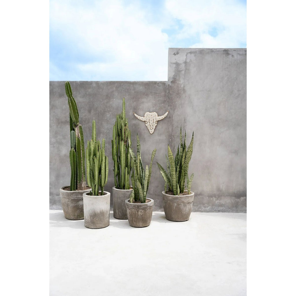 The Bull Shell - White - LUXONAS HOME