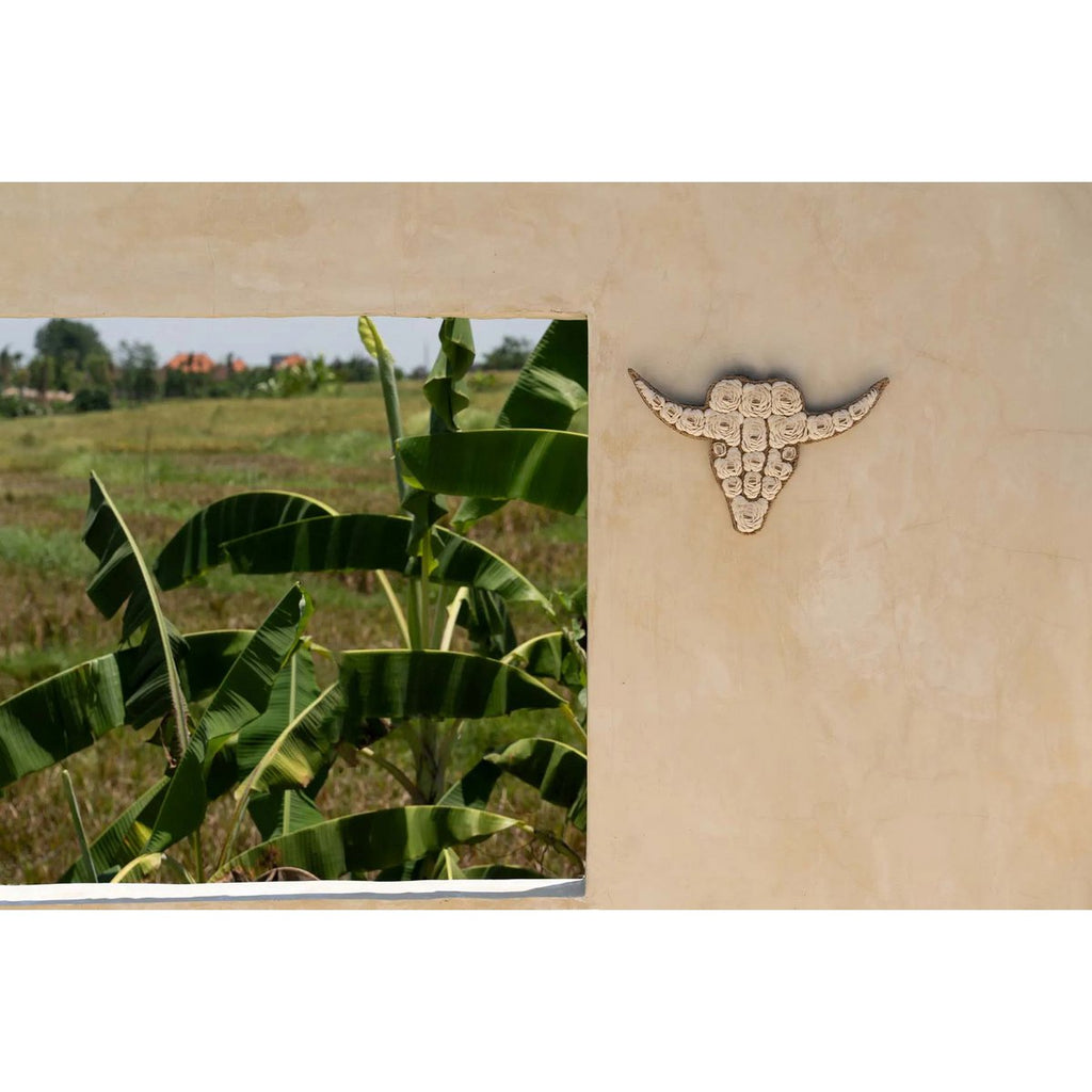 The Bull Shell - White - LUXONAS HOME