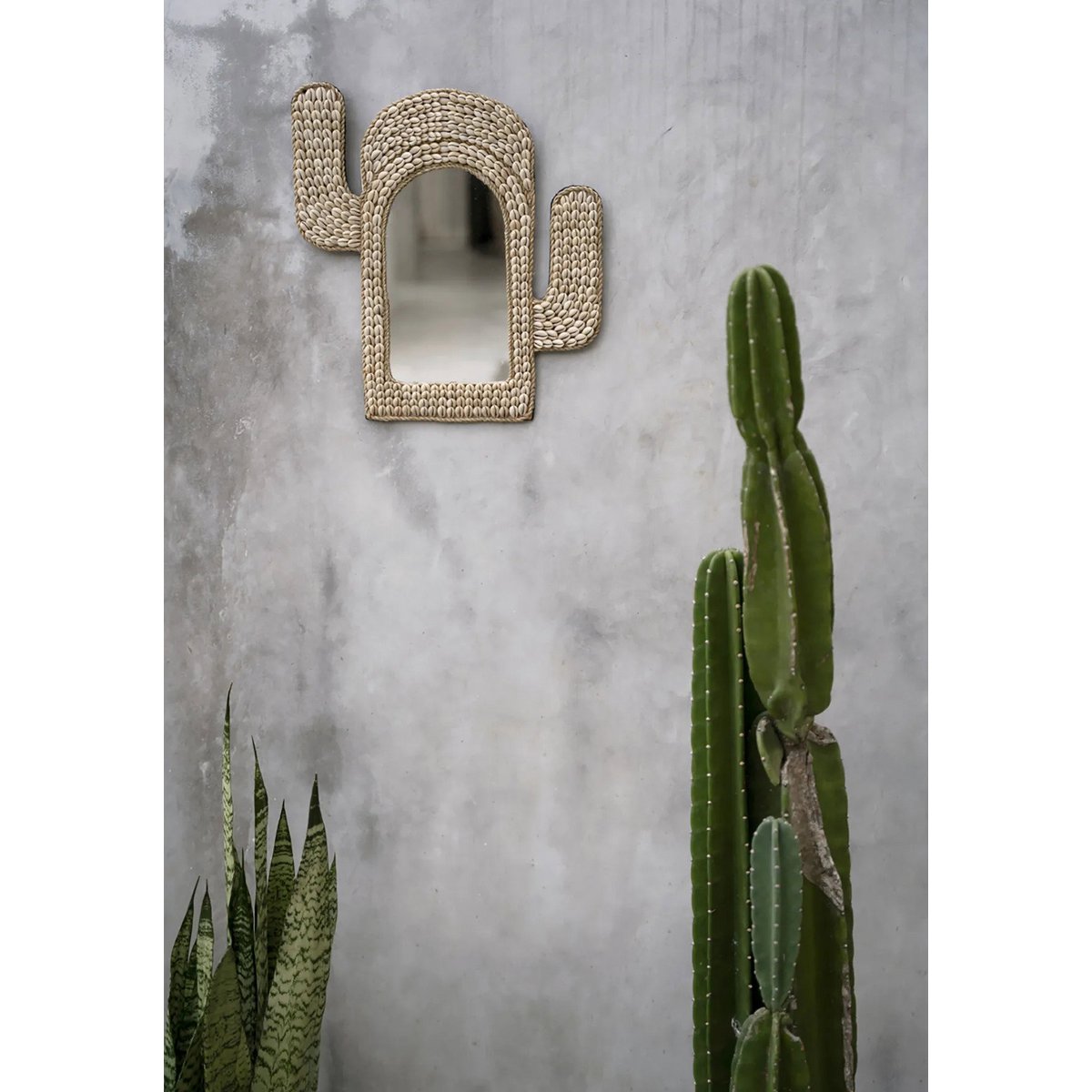 The Cactus Shell Mirror - White - LUXONAS HOME