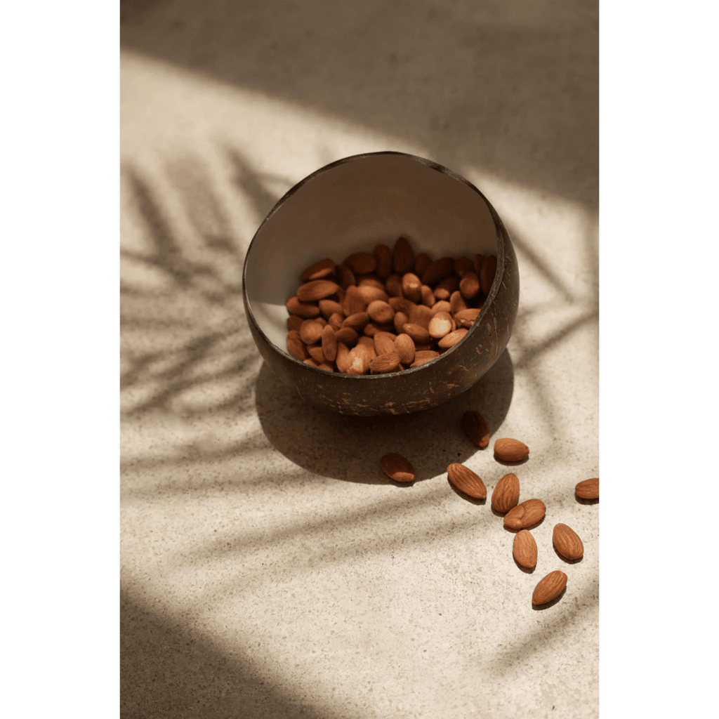 The Coco Food Bowl - Natural White - LUXONAS HOME