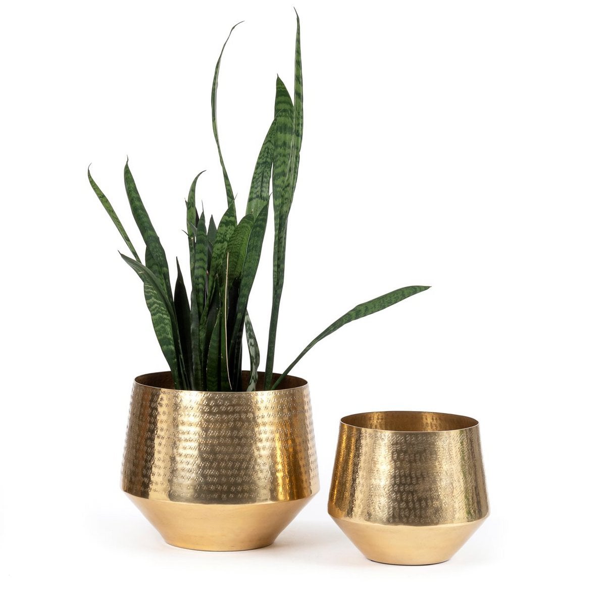 The Hammered Planter - Brass - XL - LUXONAS HOME
