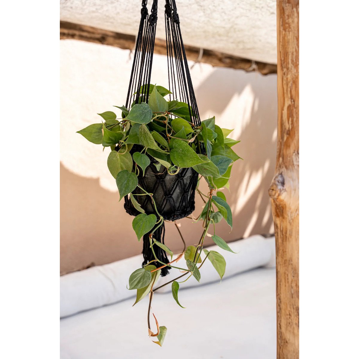 The Macrame Plant Holder - Black - L - LUXONAS HOME