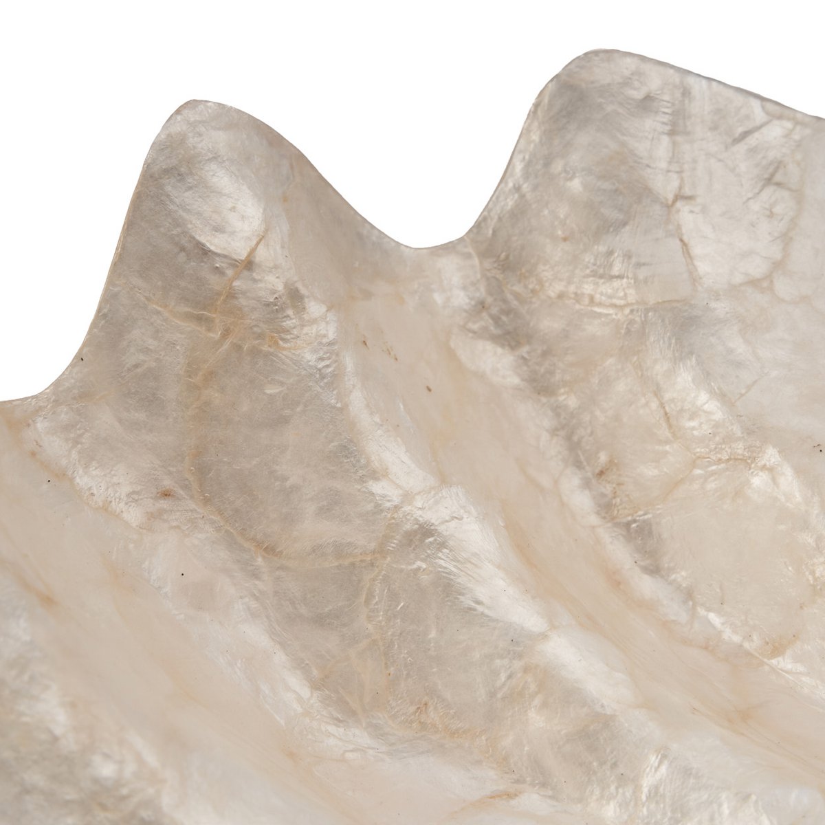 The Mother of Pearl Soap Dish - White - M - LUXONAS HOME