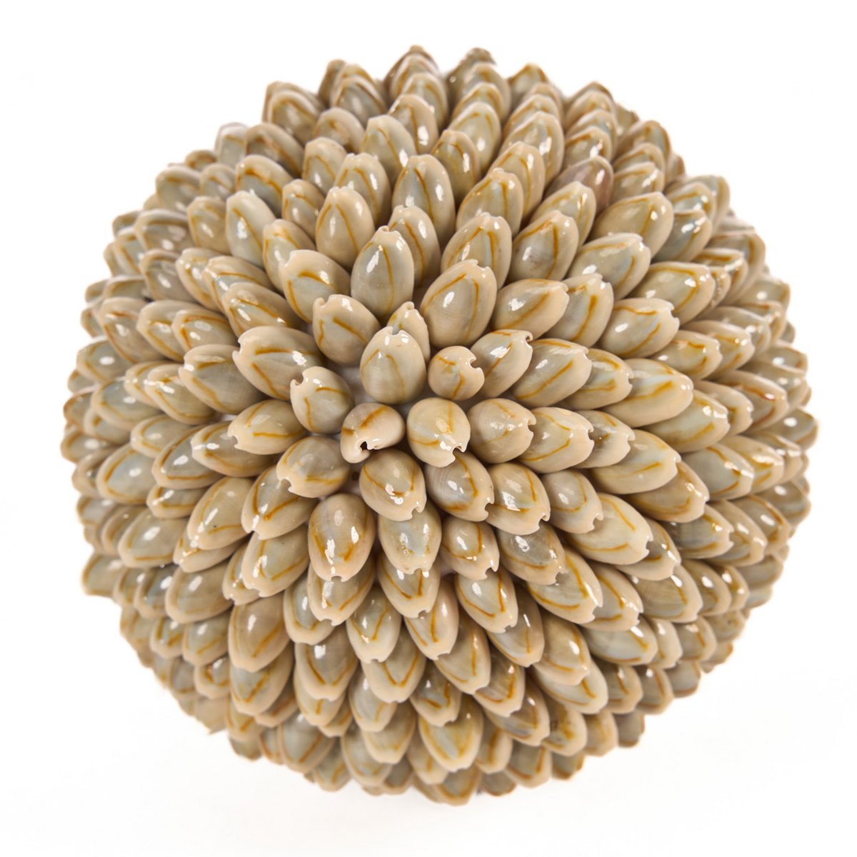 The Oluolu Shell Ball - L - LUXONAS HOME