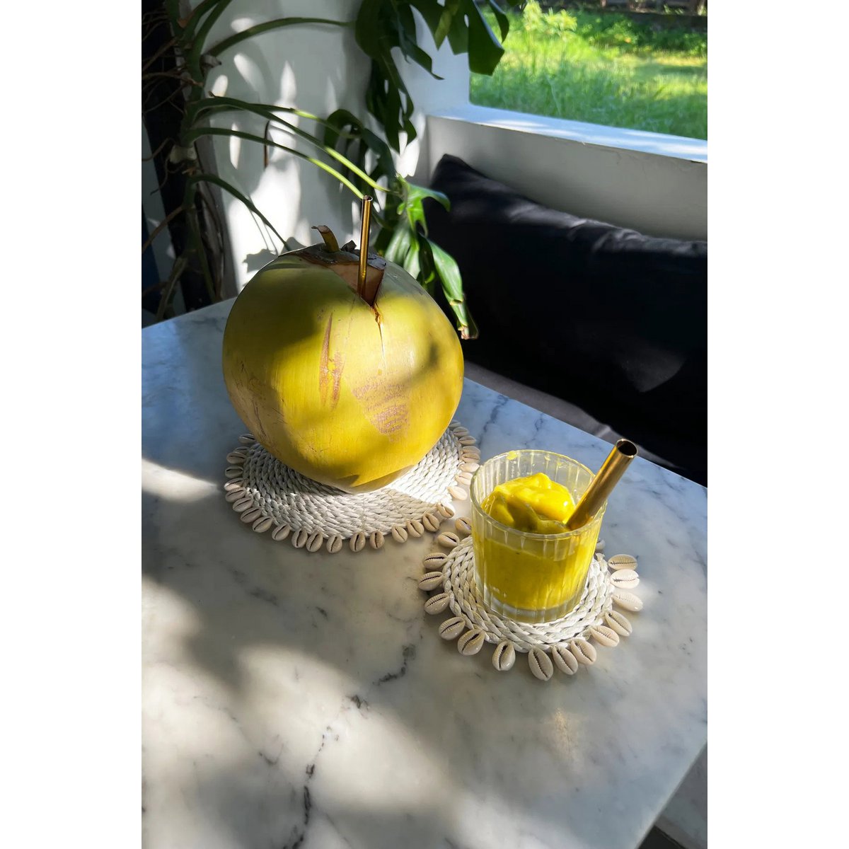 The Seagrass Shell Coaster - White - LUXONAS HOME