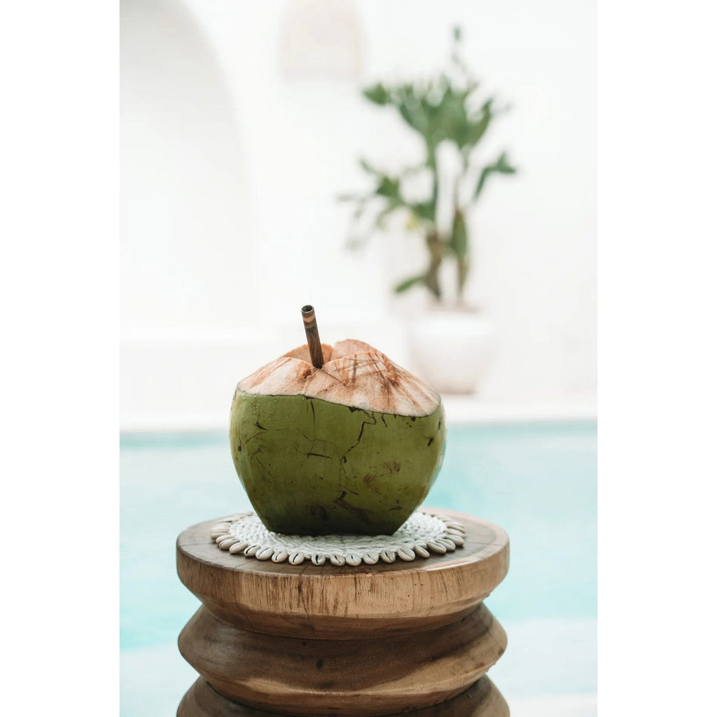 The Seagrass Shell Pan Coaster - White - LUXONAS HOME