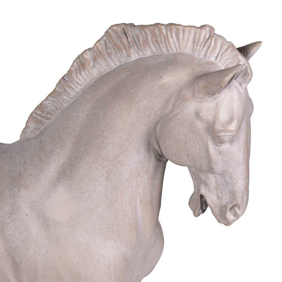 The Sturdy Stallion