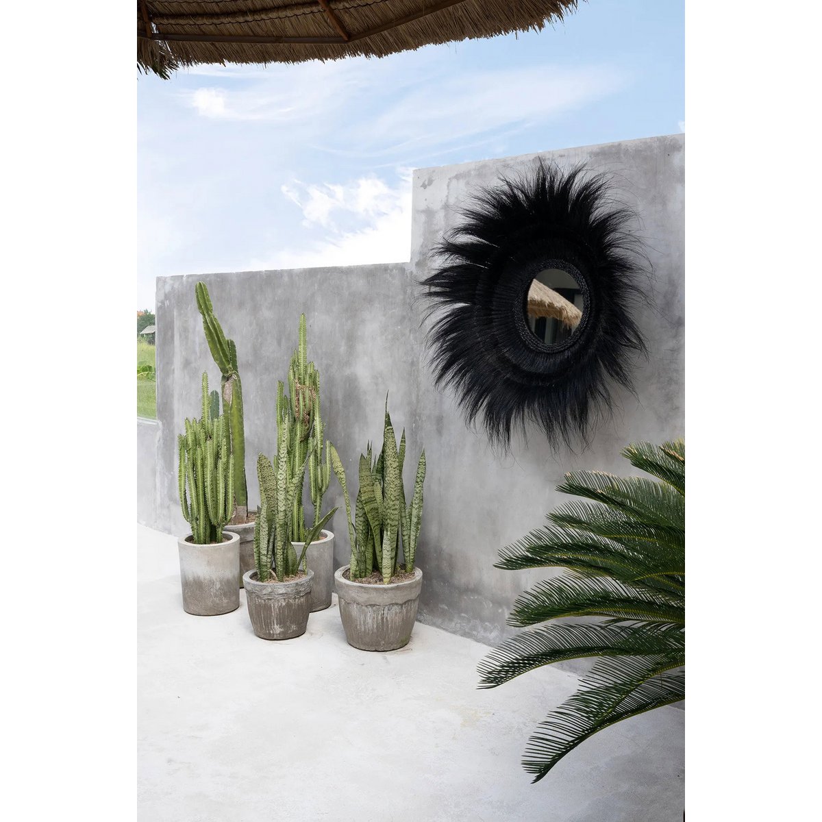 The Sunken Forest Mirror - Black - LUXONAS HOME