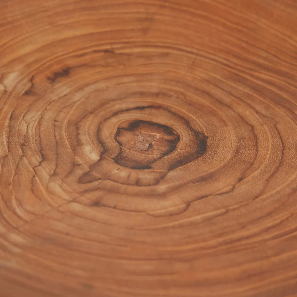 The Teak Root Organic Plate - LUXONAS HOME