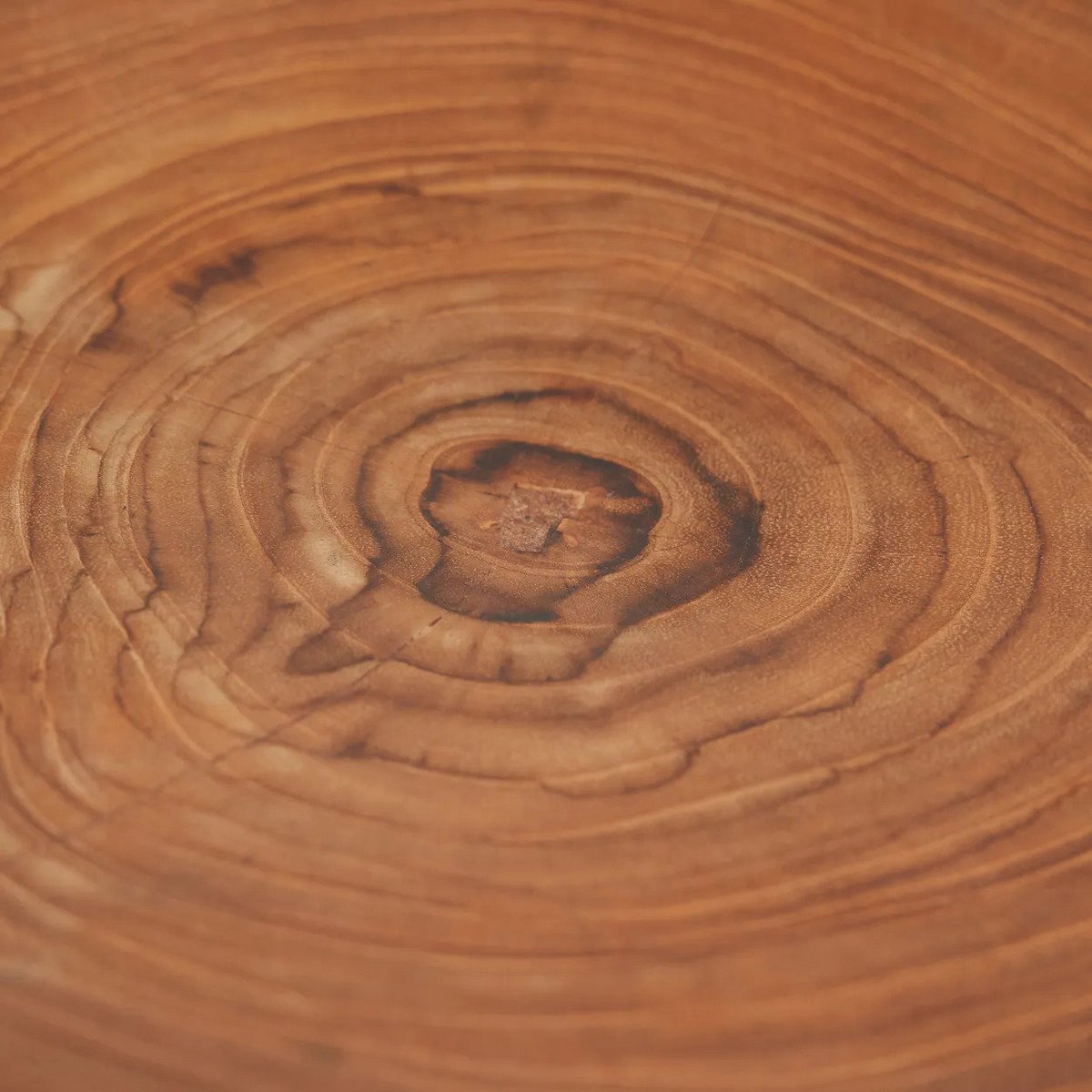 The Teak Root Organic Plate - LUXONAS HOME