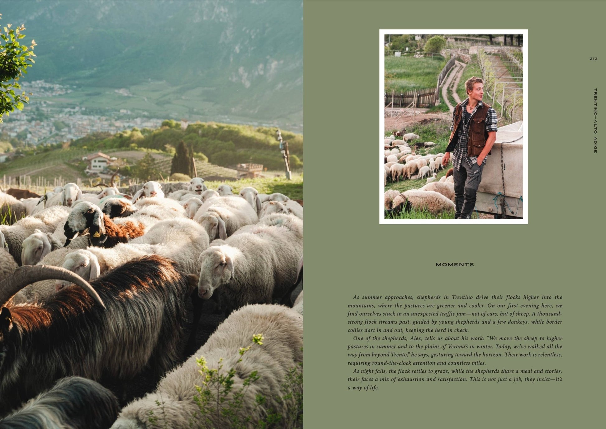 Travel Guide: Somewhere in Italy Book - LUXONAS