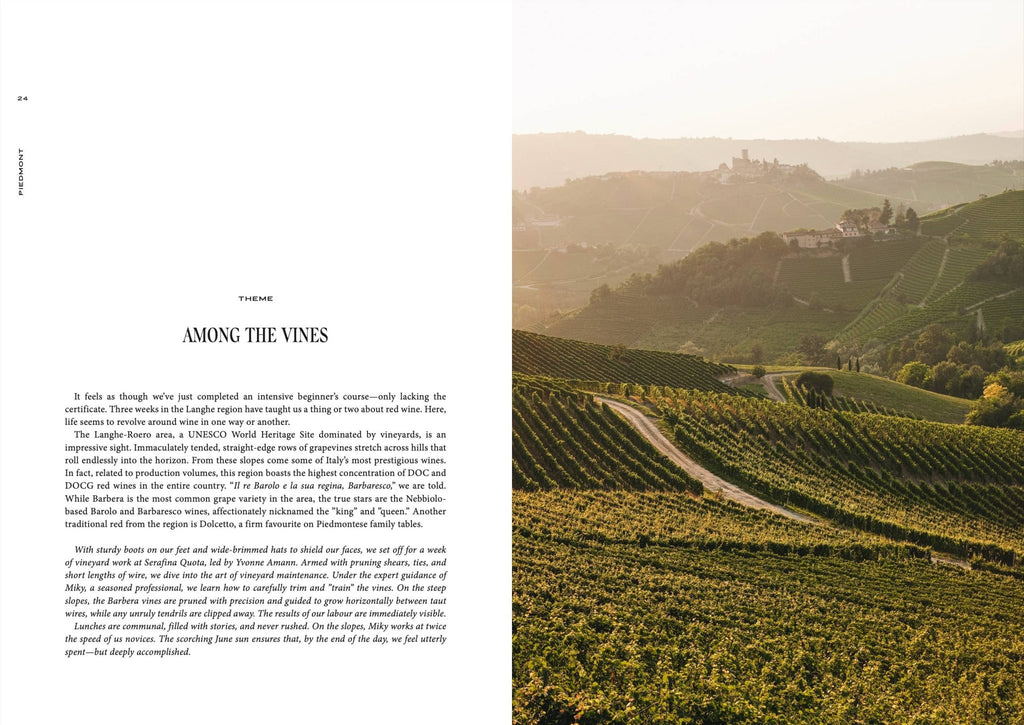 Travel Guide: Somewhere in Italy Book - LUXONAS