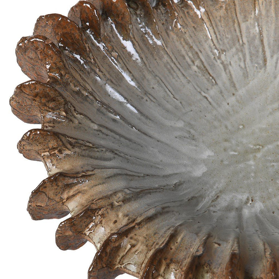 Venus Shell Bowl