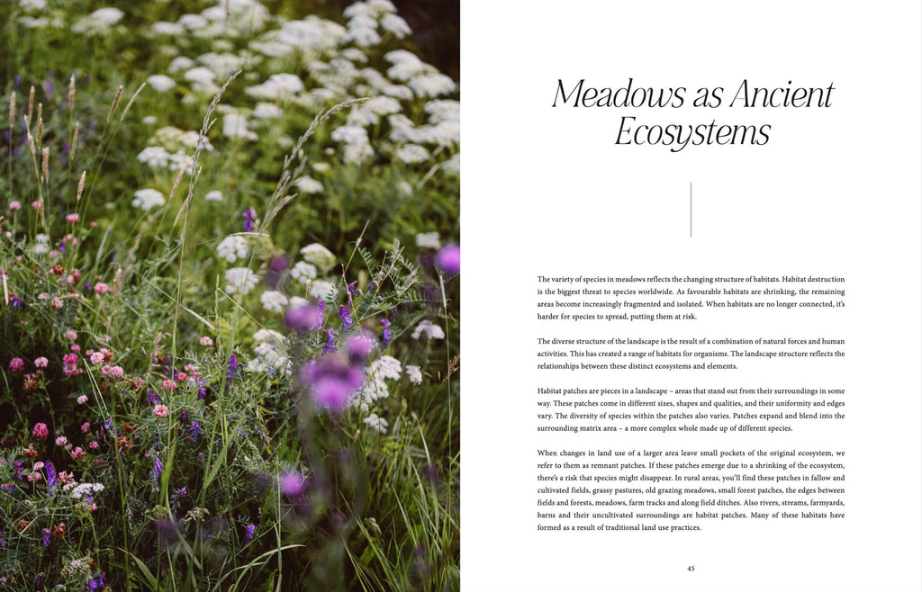 Where Flowers Bloom - LUXONAS