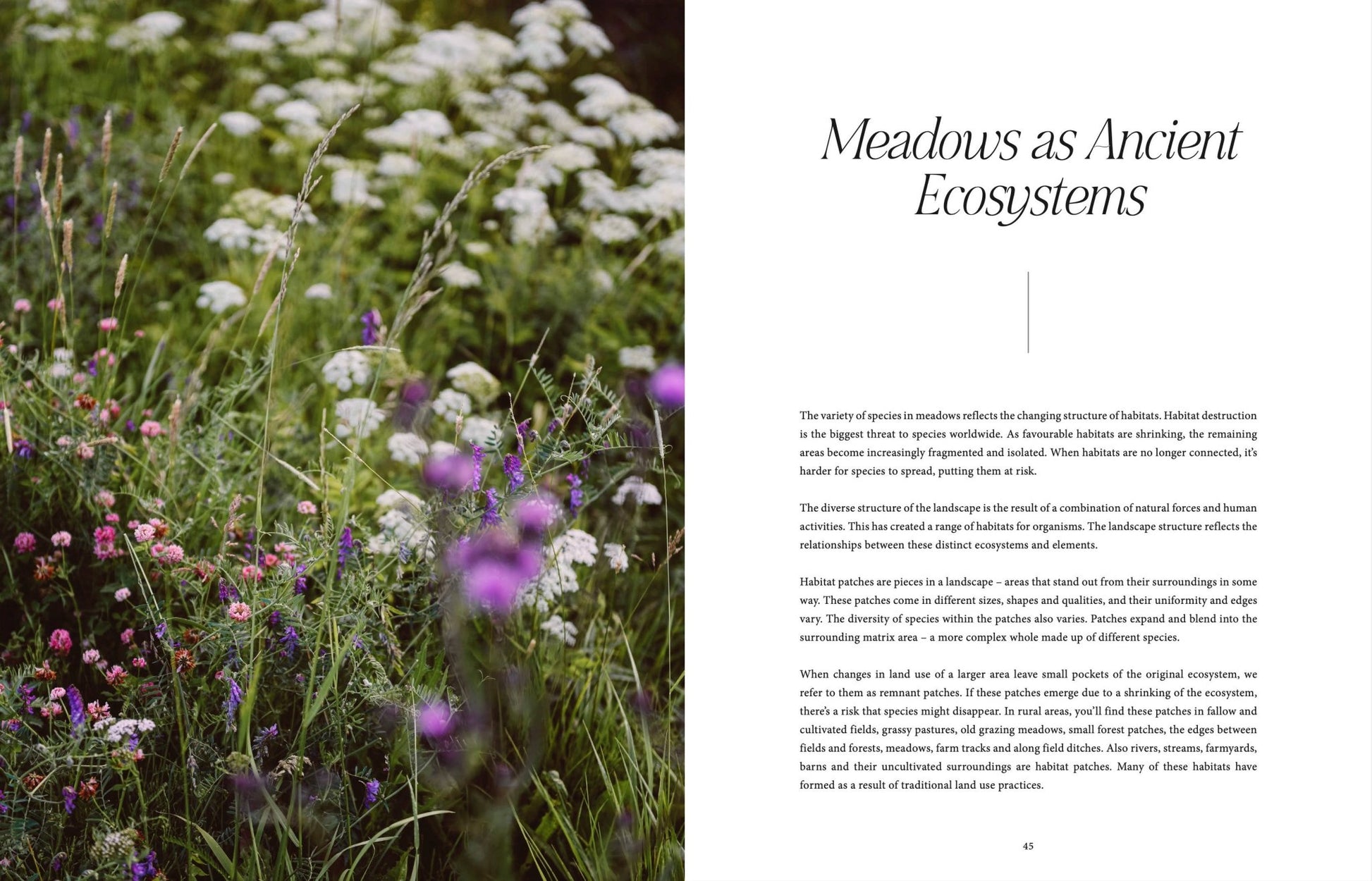 Where Flowers Bloom - LUXONAS