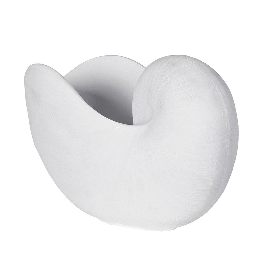 White Coral Nautilus