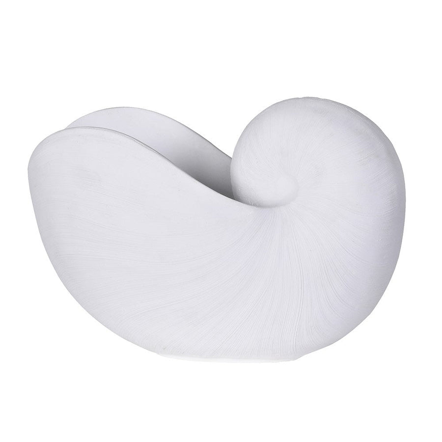 White Coral Nautilus