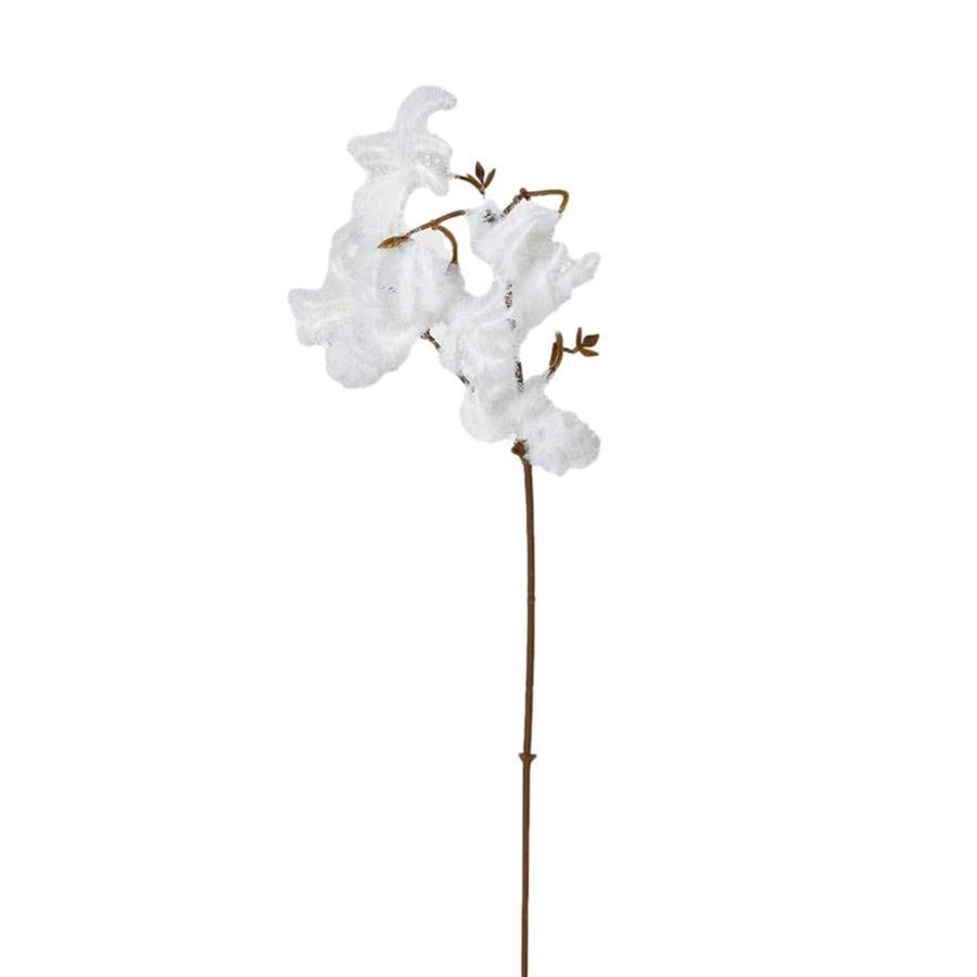 White Flock Clematis Spray