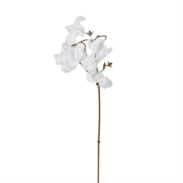 White Flock Clematis Spray