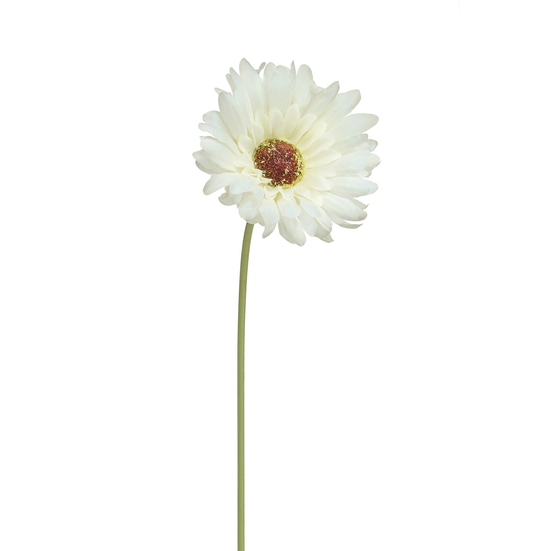 White Gerbera Stem - 50cm