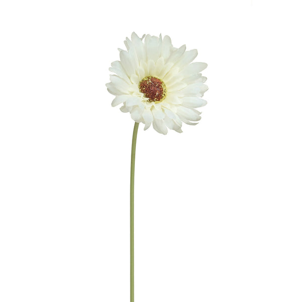 White Gerbera Stem - 50cm