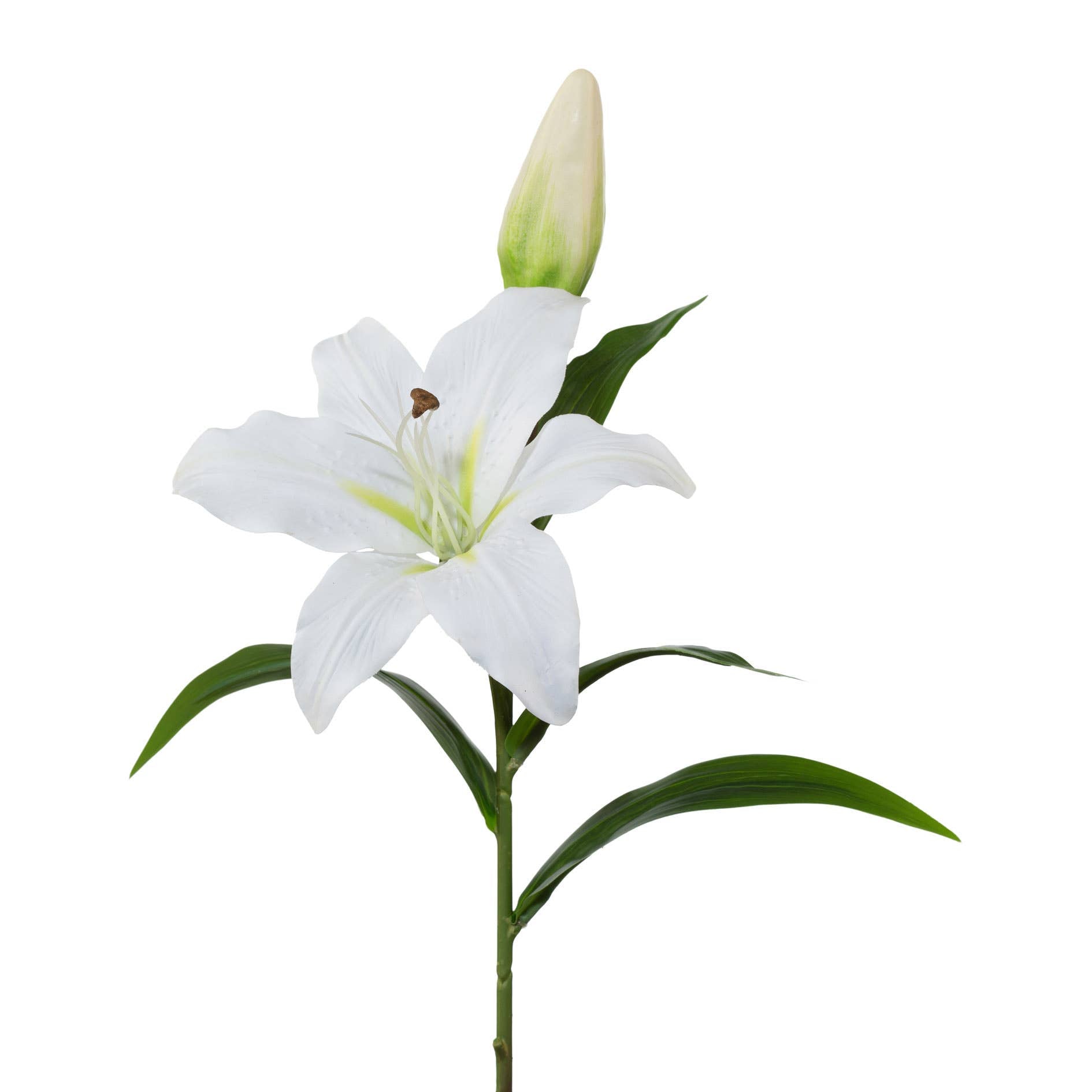 White Lily Print 50cm - LUXONAS