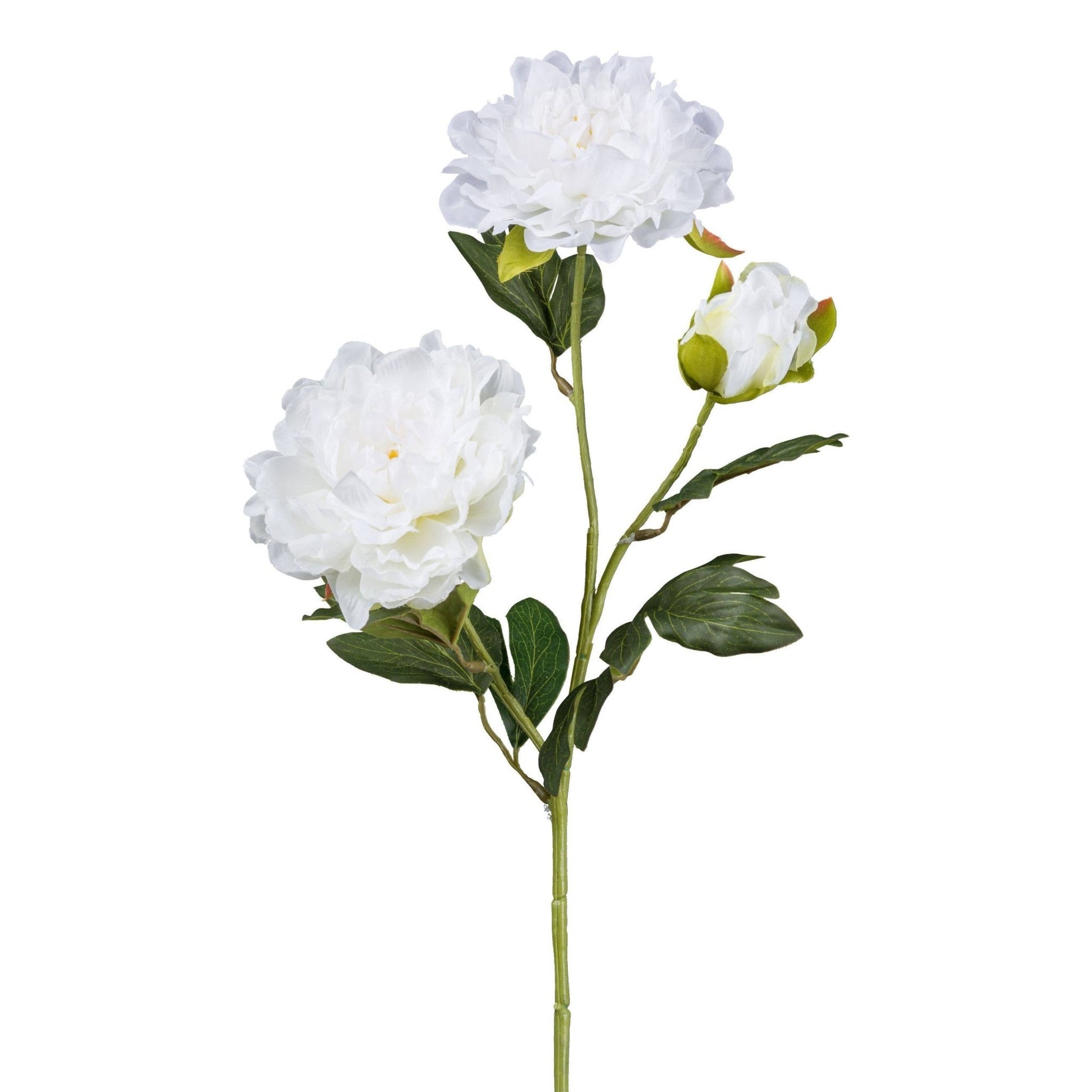 White Peony 63cm - LUXONAS