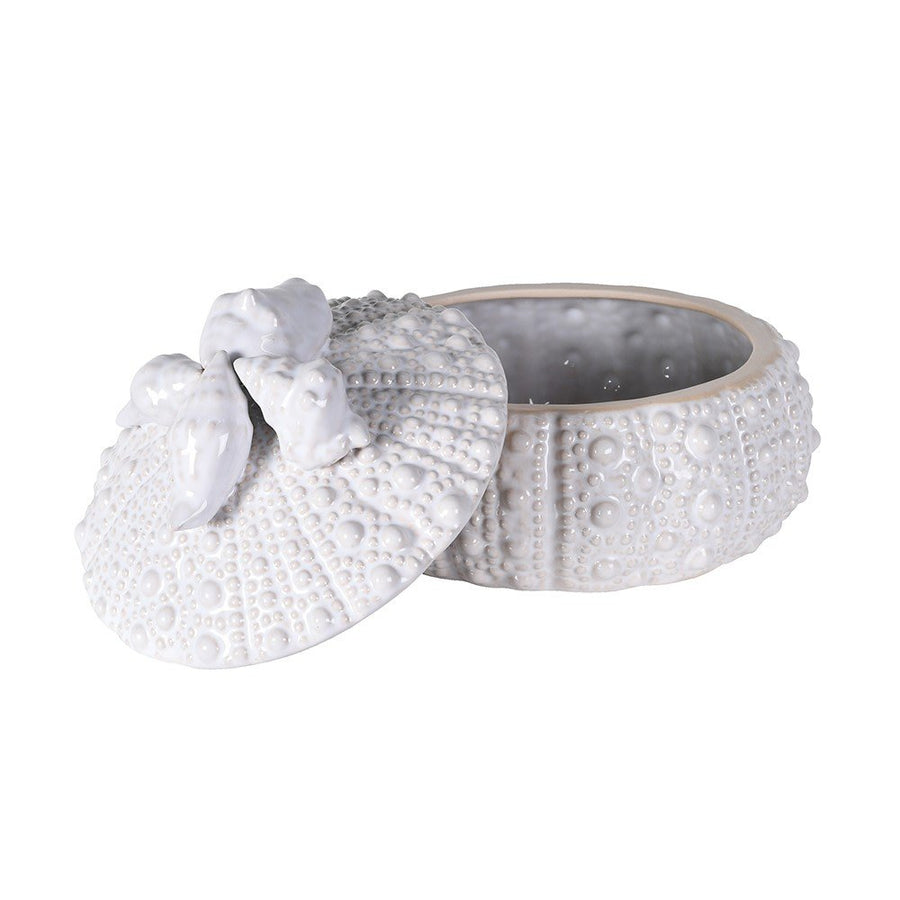 White Urchin Trinket Jar