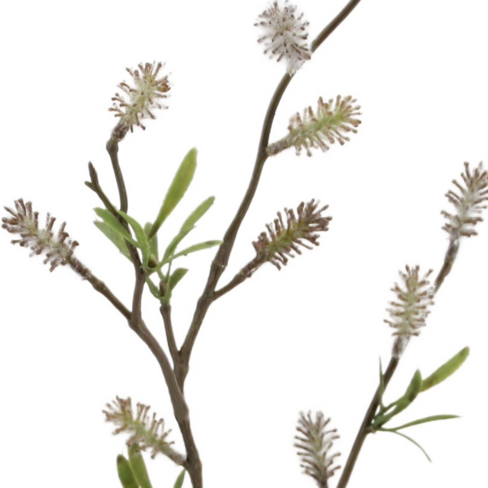 Willow Kitten Branch 73 cm green - cream - LUXONAS HOME